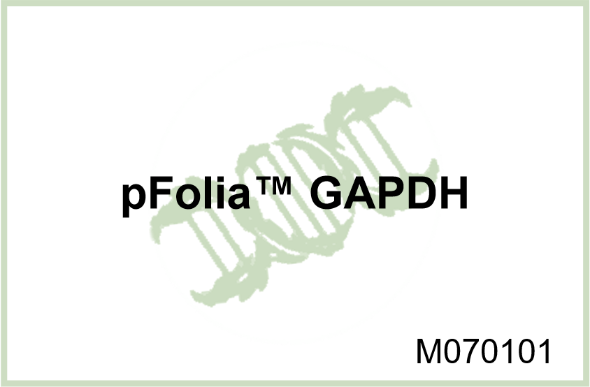 pFolia™ GAPDH